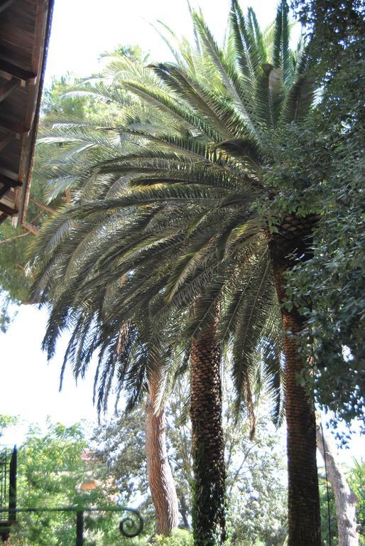 Villa Fiocchi Καλτανισέττα Εξωτερικό φωτογραφία